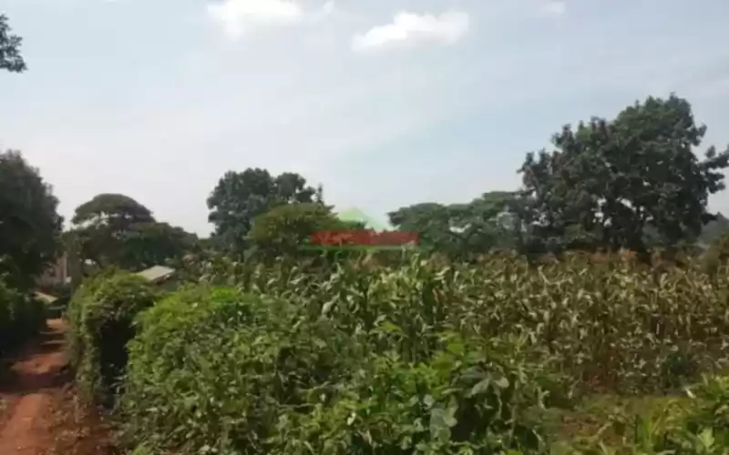 Kikuyu Muthure land for sale Image